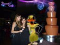/album/chocolate/dsc03708-3-jpg4/